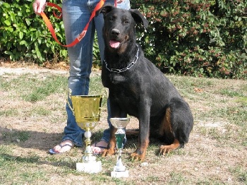 des Gardiens d'Ominanda - Journée Beauceronne de Mérignac 17 octobre 2010